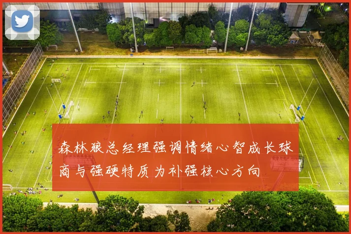 森林狼总经理强调情绪心智成长球商与强硬特质为补强核心方向