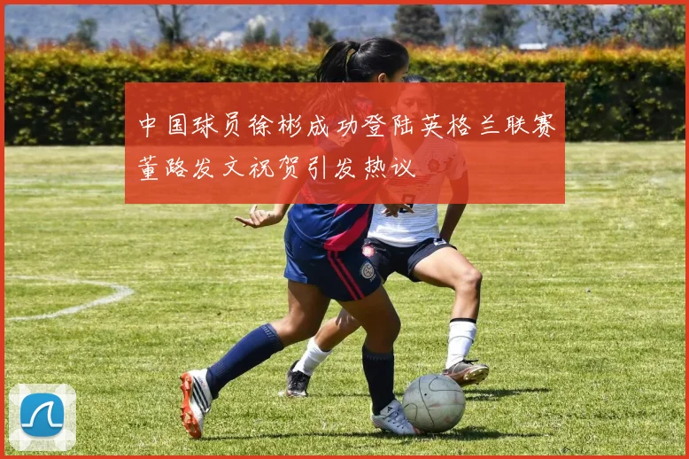 中国球员徐彬成功登陆英格兰联赛董路发文祝贺引发热议